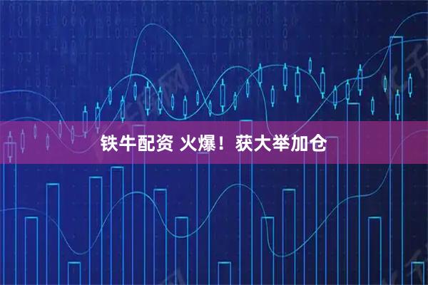 铁牛配资 火爆！获大举加仓