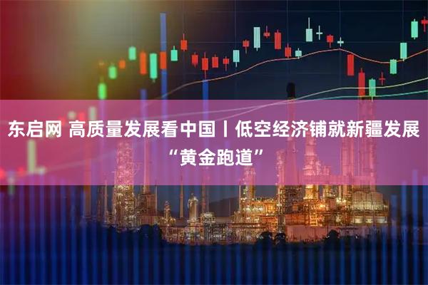东启网 高质量发展看中国丨低空经济铺就新疆发展“黄金跑道”