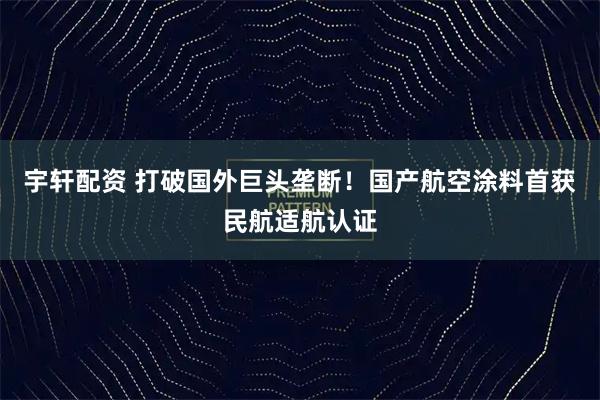 宇轩配资 打破国外巨头垄断！国产航空涂料首获民航适航认证